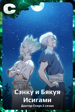 Карточка персонажа Сэнку и Бякуя Исигами